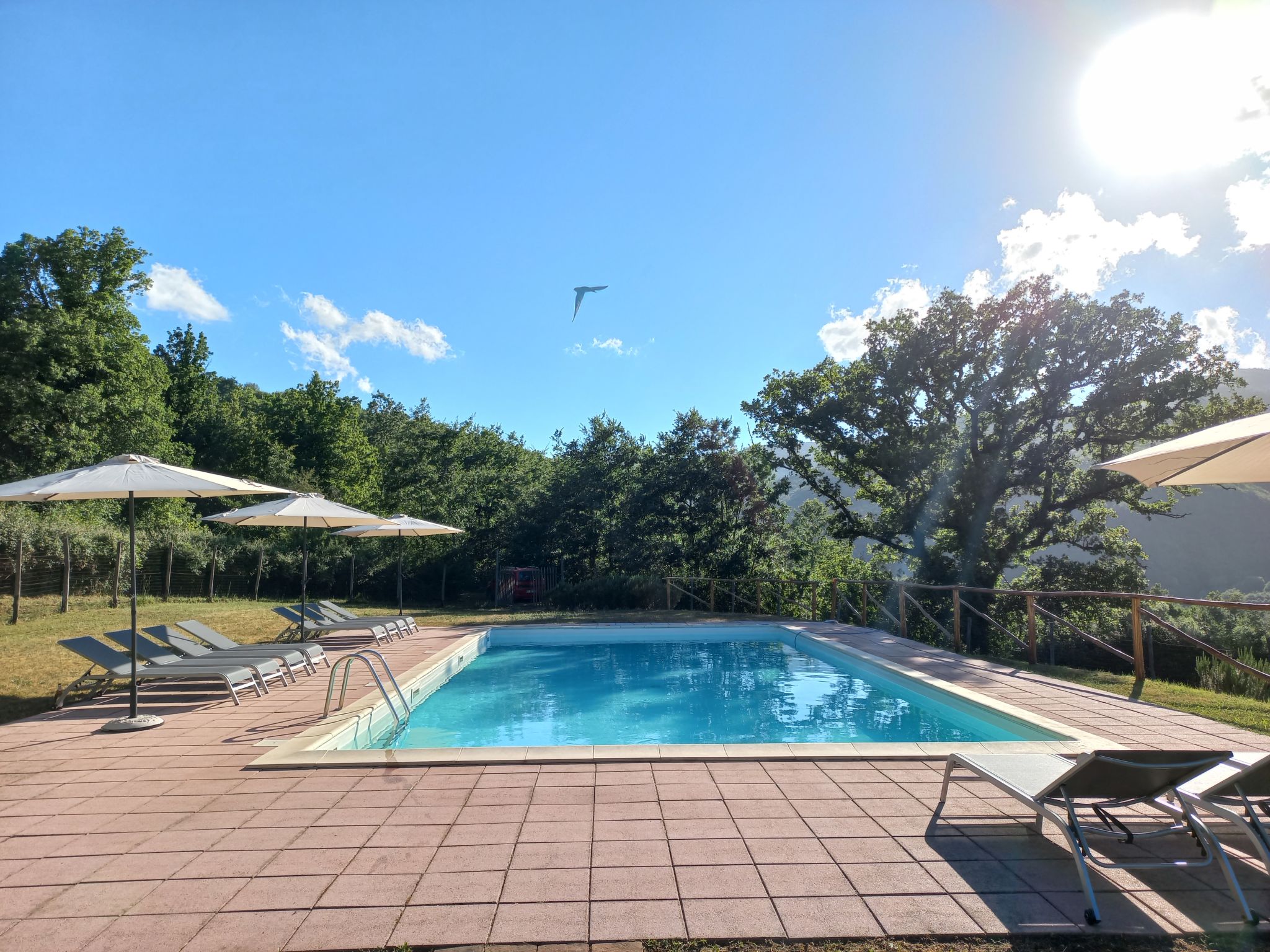 Photo 6 - Appartement de 2 chambres à Montieri avec piscine et jardin