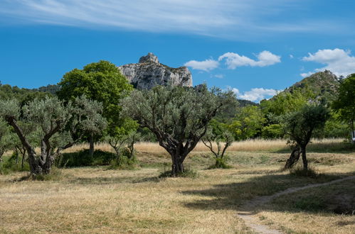 Foto 44 - Casa de 4 quartos em Saint-Rémy-de-Provence com piscina privada e jardim