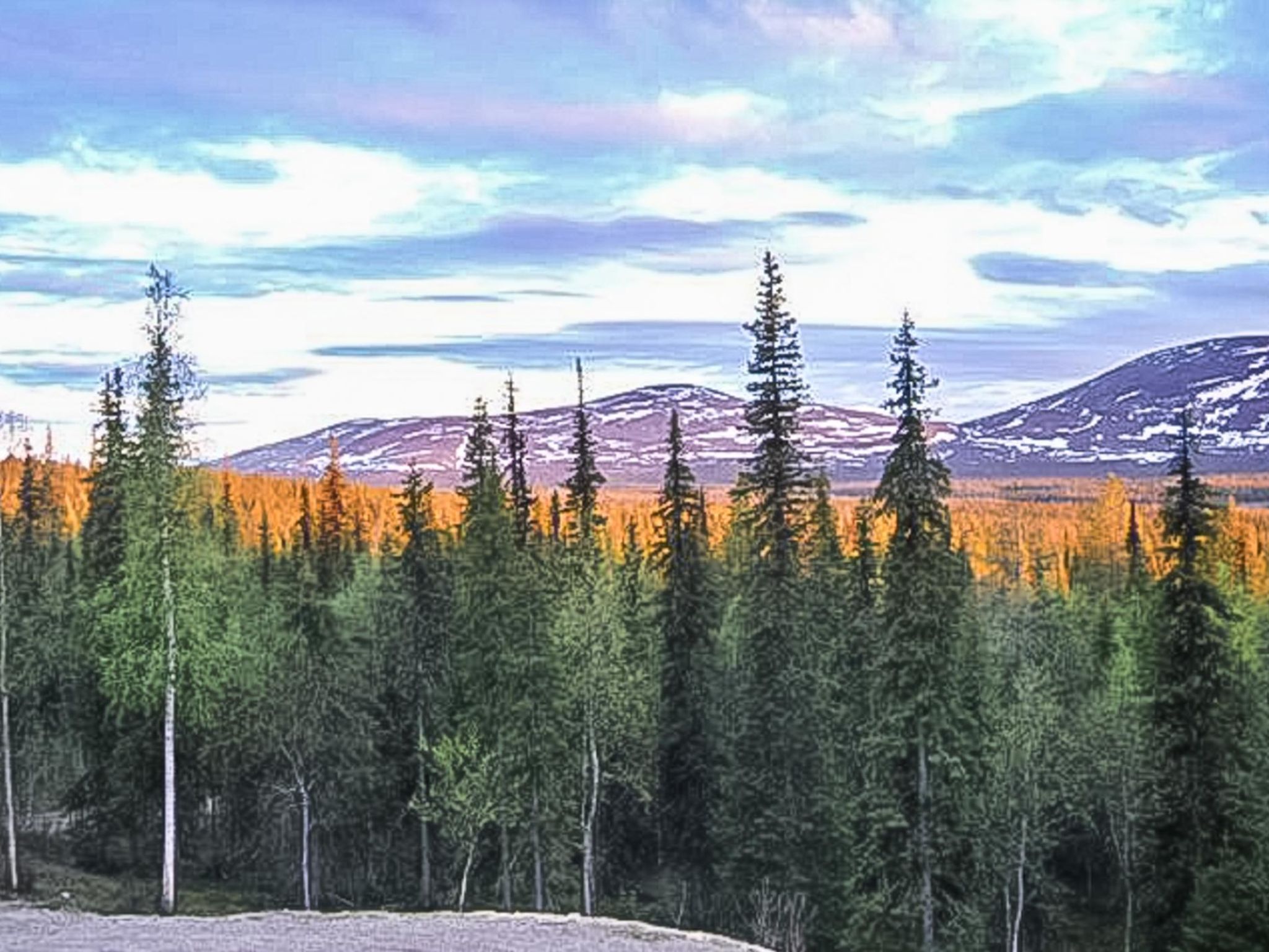 Foto 18 - Haus mit 4 Schlafzimmern in Kittilä mit sauna und blick auf die berge