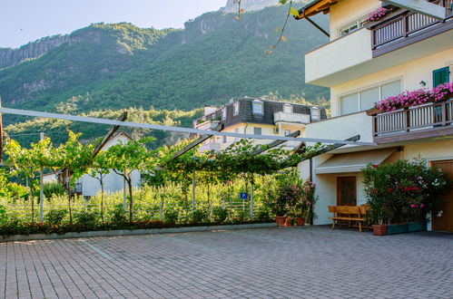 Photo 53 - Appartement de 2 chambres à Andriano avec piscine et vues sur la montagne