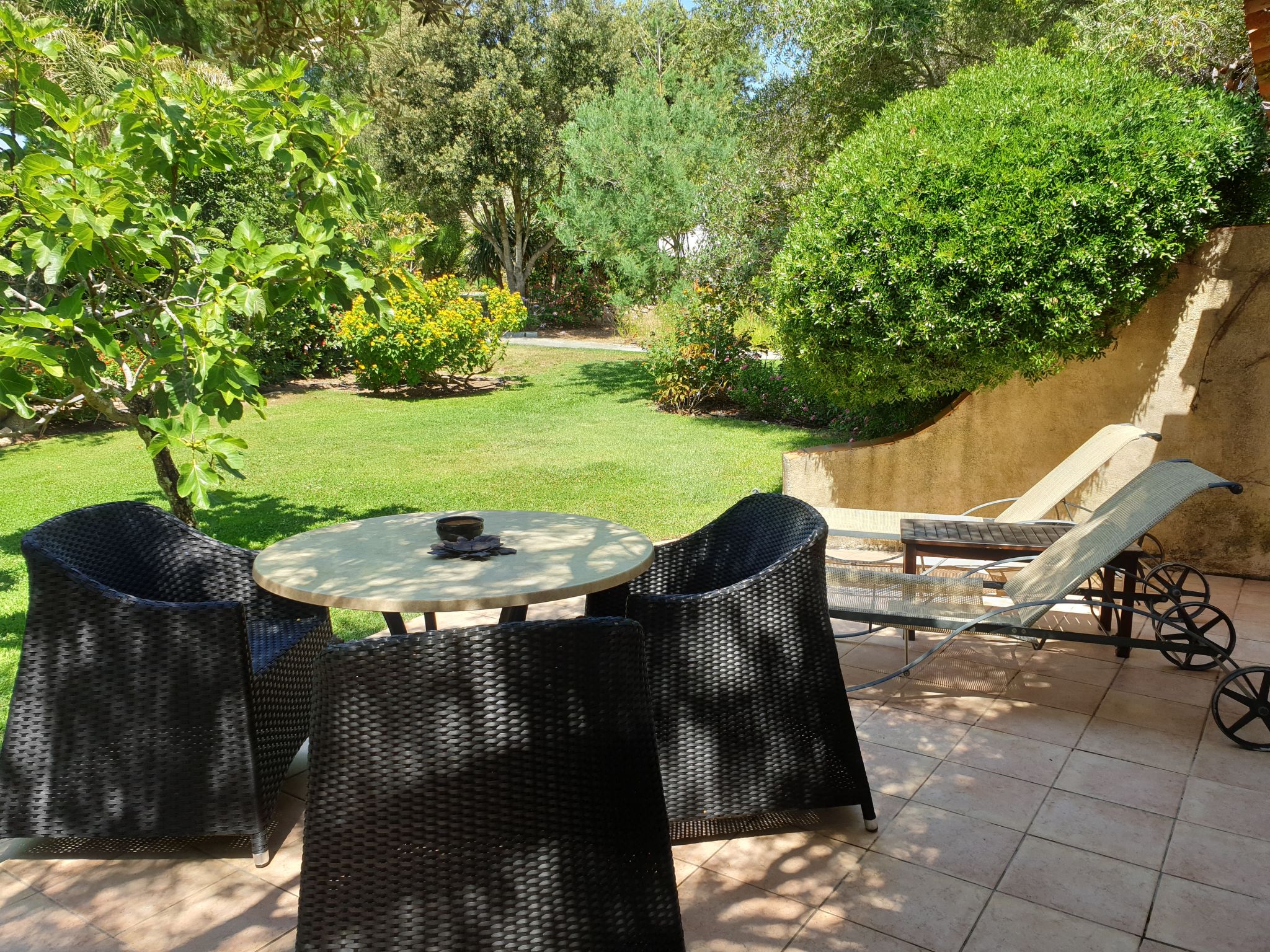 Photo 3 - Maison de 1 chambre à Calvi avec piscine et vues à la mer