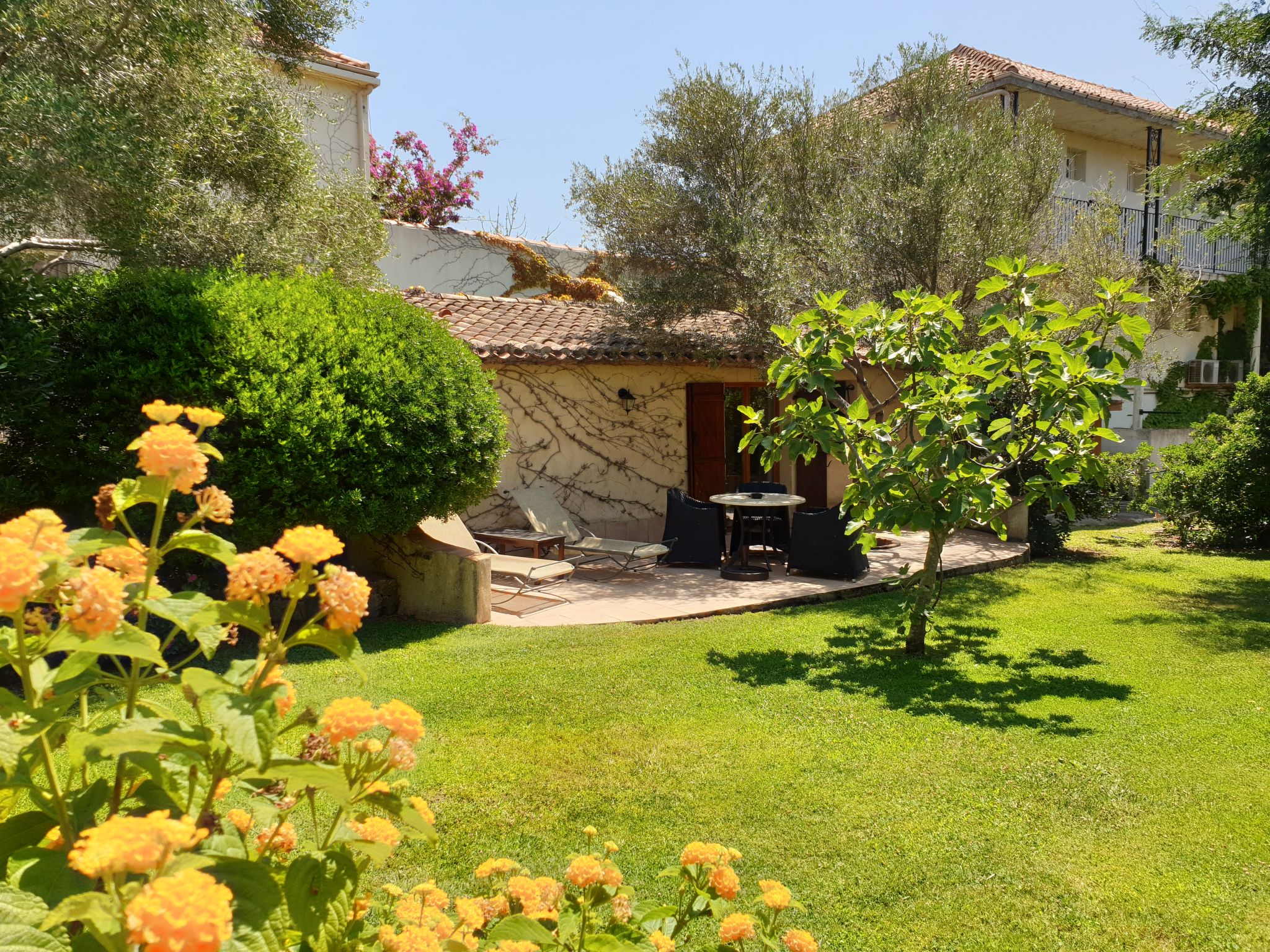 Photo 2 - Maison de 1 chambre à Calvi avec piscine et vues à la mer