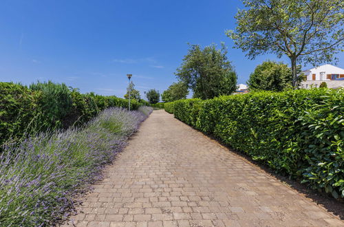 Photo 32 - Maison de 3 chambres à Sveti Petar u Šumi avec piscine privée et jardin