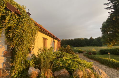 Photo 5 - Maison de 3 chambres à Kowale Oleckie avec jardin et terrasse