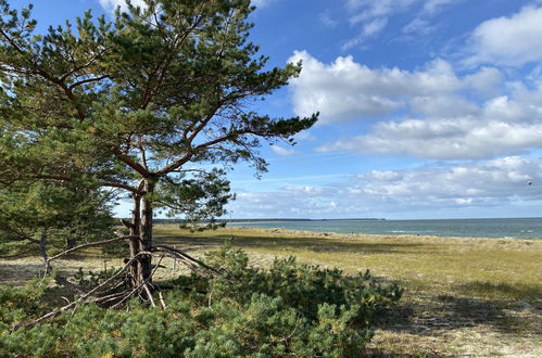 Photo 19 - Appartement en Prerow avec jardin et vues à la mer