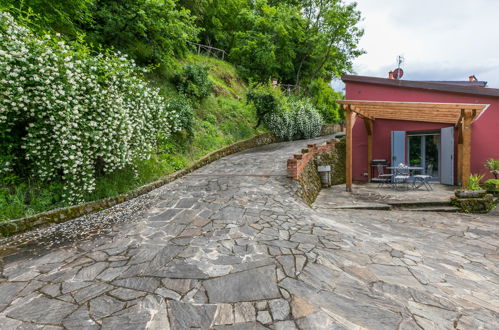 Foto 24 - Casa de 2 quartos em Montevarchi com piscina privada e jardim