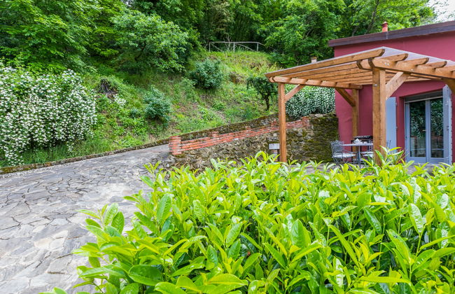 Haus mit 3 Schlafzimmern in Montevarchi mit privater pool und garten - Foto 36