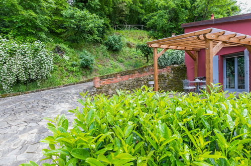 Photo 36 - Maison de 2 chambres à Montevarchi avec piscine privée et jardin