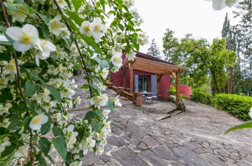 Foto 20 - Casa de 2 habitaciones en Montevarchi con piscina privada y jardín