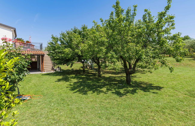Apartamento de 3 quartos em Novigrad com jardim e terraço - Foto 23