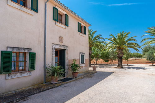 Foto 35 - Casa con 3 camere da letto a Campos con piscina privata e terrazza