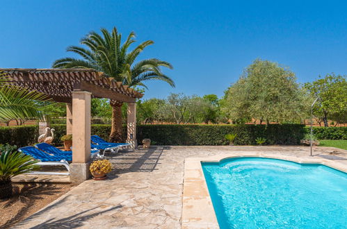 Photo 29 - Maison de 3 chambres à Campos avec piscine privée et jardin