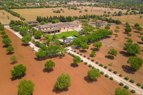 Foto 38 - Casa con 3 camere da letto a Campos con piscina privata e terrazza