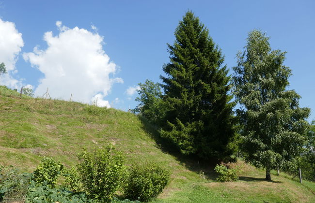 Casa de 1 quarto em Acquarossa com jardim e terraço - Foto 21