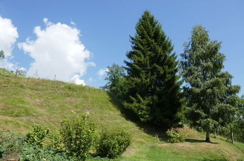 Photo 21 - Maison en Acquarossa avec jardin et terrasse