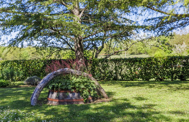 Casa de 2 quartos em Pazin com jardim e terraço - Foto 43