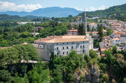 Foto 47 - Casa con 2 camere da letto a Pazin con giardino e terrazza