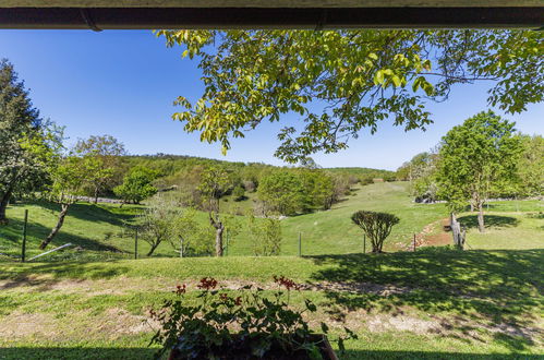 Photo 12 - Maison de 2 chambres à Pazin avec jardin et terrasse