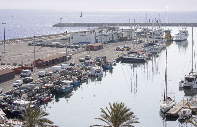 Apartamento de 3 quartos em Saint-Cyprien - Foto 1