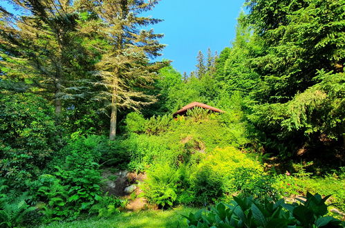 Photo 34 - Maison de 4 chambres à Kowary avec jardin et vues sur la montagne