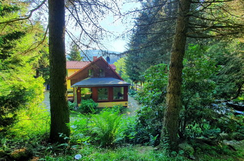 Photo 33 - Maison de 4 chambres à Kowary avec jardin et vues sur la montagne
