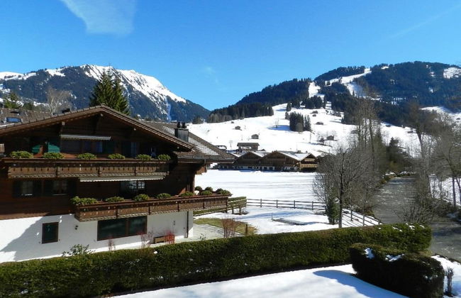 Apartamento de 1 quarto em Saanen - Foto 9