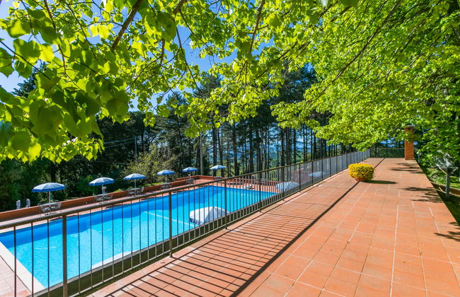Apartamento de 2 quartos em Montaione com piscina e jardim - Foto 34