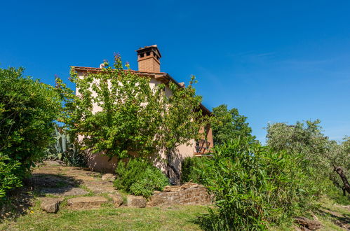 Photo 23 - Maison de 1 chambre à Scarlino avec jardin et terrasse