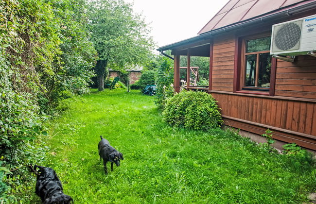 Haus mit 3 Schlafzimmern in Białowieża mit garten und terrasse - Foto 33