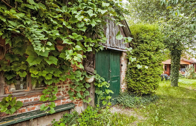 Haus mit 3 Schlafzimmern in Białowieża mit garten und terrasse - Foto 31
