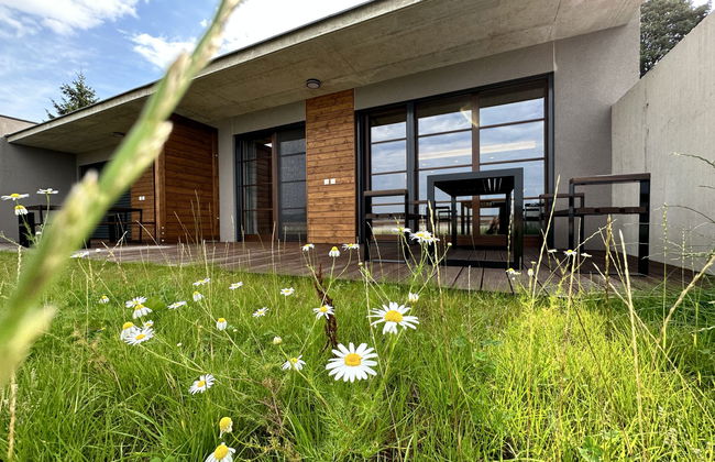 Haus mit 2 Schlafzimmern in Říčky v Orlických horách mit garten und terrasse - Foto 1