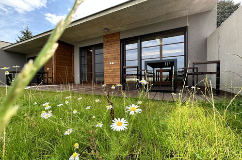 Foto 1 - Casa con 2 camere da letto a Říčky v Orlických horách con giardino e terrazza