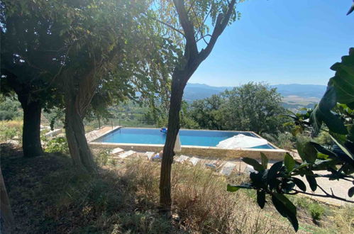 Photo 18 - 3 bedroom Apartment in Montalcino with swimming pool and terrace