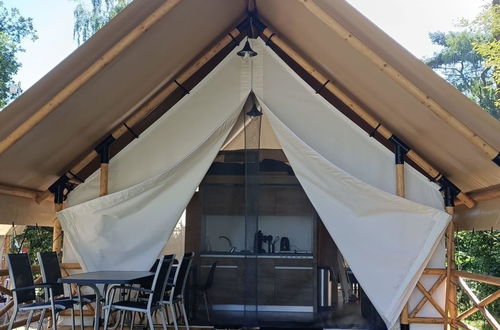 Photo 5 - Maison de 1 chambre à IJhorst avec piscine et terrasse