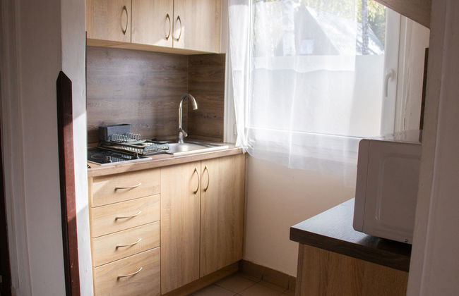Casa de 4 quartos em Hradec Kralove com jardim - Foto 6
