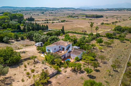 Foto 49 - Casa de 3 habitaciones en Santa Margalida con piscina privada y jardín