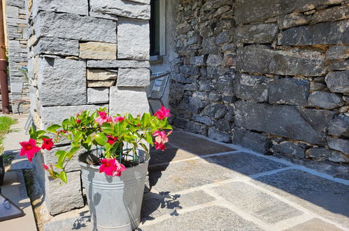 Foto 43 - Casa con 3 camere da letto a Cevio con giardino e vista sulle montagne