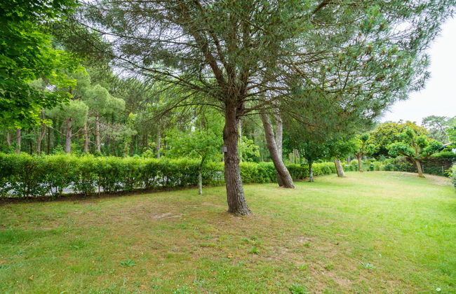 Apartamento de 3 quartos em Anglet com terraço - Foto 16