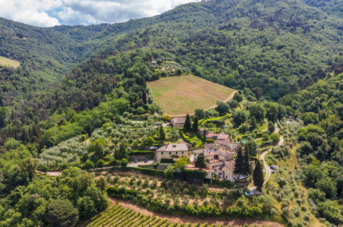 Foto 66 - Haus mit 4 Schlafzimmern in Greve in Chianti mit schwimmbad und garten