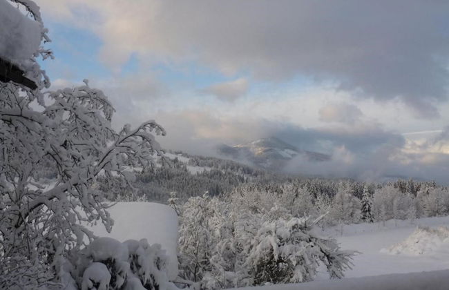 Apartamento de 4 quartos em Eben im Pongau com jardim - Foto 16