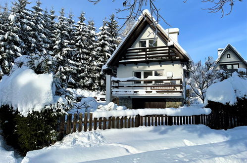 Photo 43 - Maison de 2 chambres à Horní Planá avec jardin et vues sur la montagne