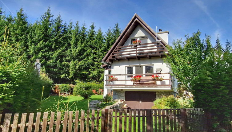 Photo 1 - Maison de 2 chambres à Horní Planá avec jardin et vues sur la montagne