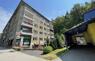 Foto 1 - Apartment mit 2 Schlafzimmern in Jáchymov