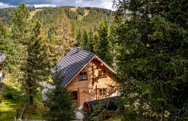 Haus mit 5 Schlafzimmern in Albeck mit garten und sauna - Foto 35