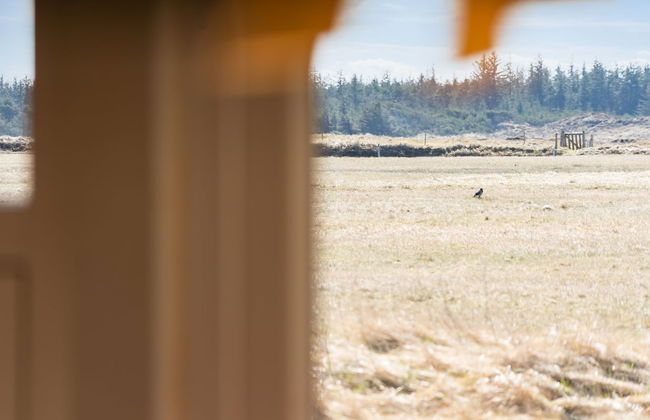 Haus mit 2 Schlafzimmern in Pandrup mit terrasse - Foto 12