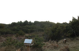 Foto 2 - Casa de 2 quartos em Oksbøl