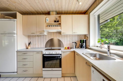 Foto 25 - Casa con 3 camere da letto a Hemmet con terrazza e vasca idromassaggio