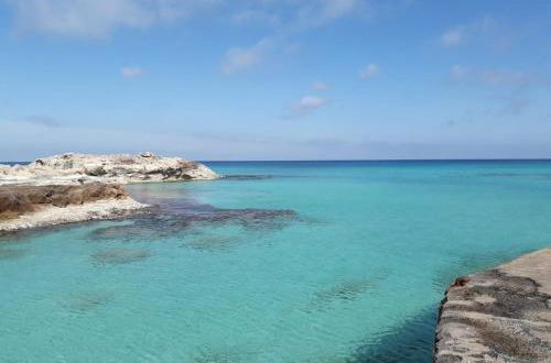 Foto 19 - Cavall de Llevant - Formentera Break