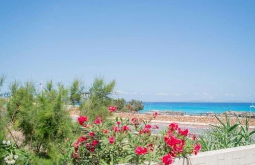 Cavall de Llevant - Formentera Break - Foto 15