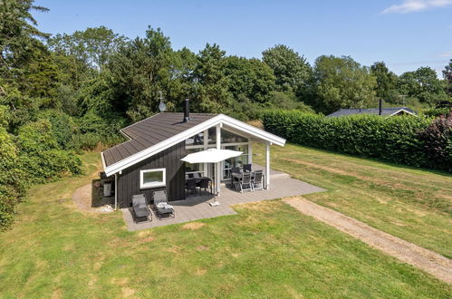 Photo 24 - Maison de 3 chambres à Tranekær avec terrasse et sauna